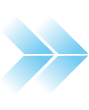 accel ico